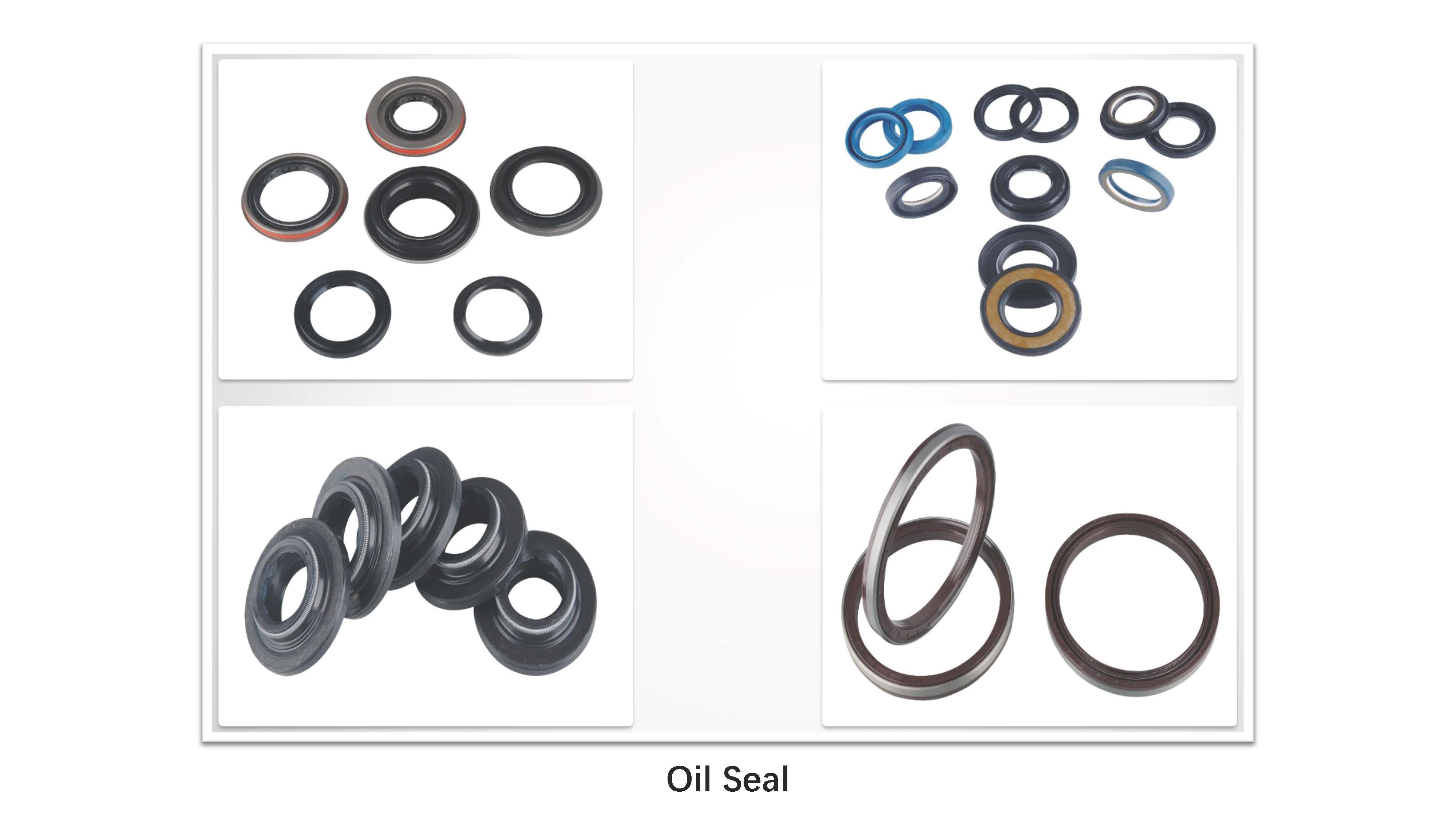 Oil Seal