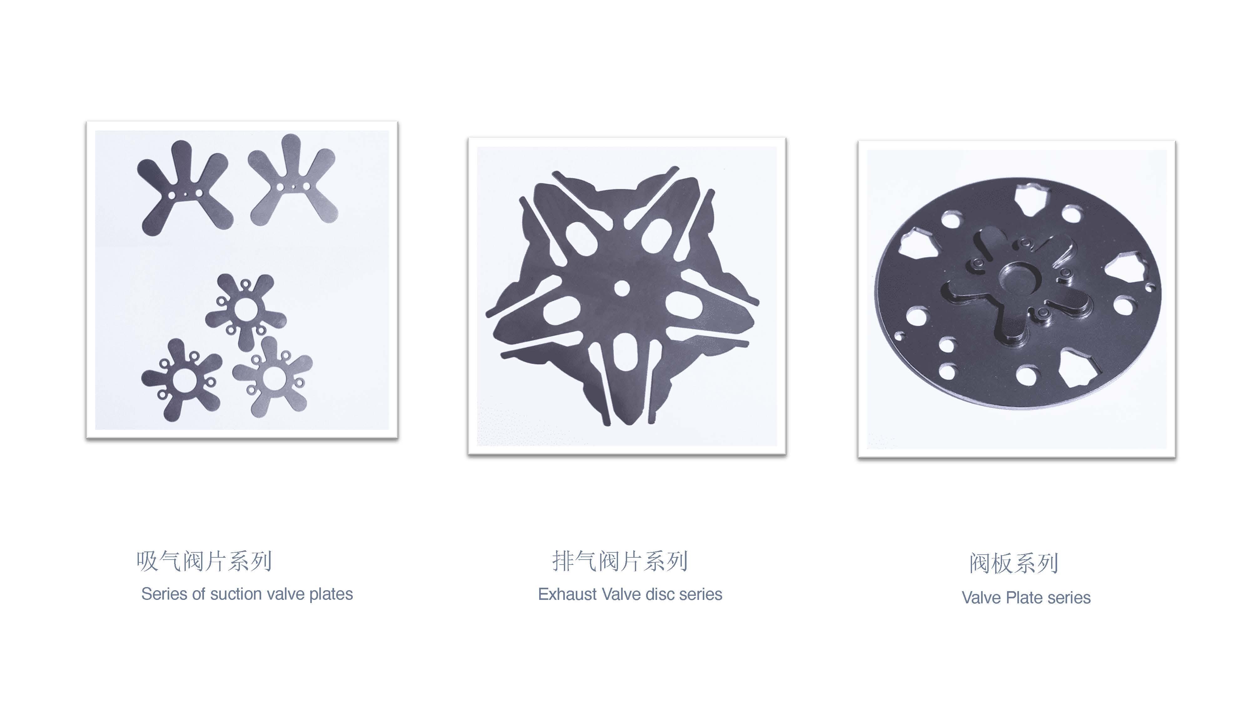 Valve Plate Series